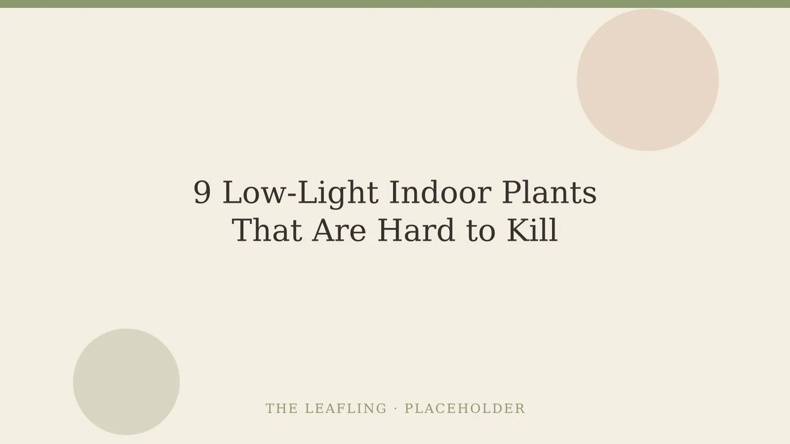A snake plant, ZZ plant, and trailing pothos grouped on a wooden shelf in a softly lit corner well away from the window.